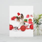 Cute Papillon Dog Christmas Santa Hat (Standing Front)