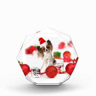 Cute Papillon Dog Christmas Santa Hat Award