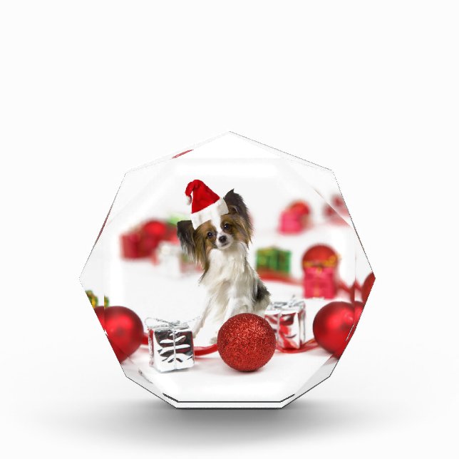 Cute Papillon Dog Christmas Santa Hat Award (Front)