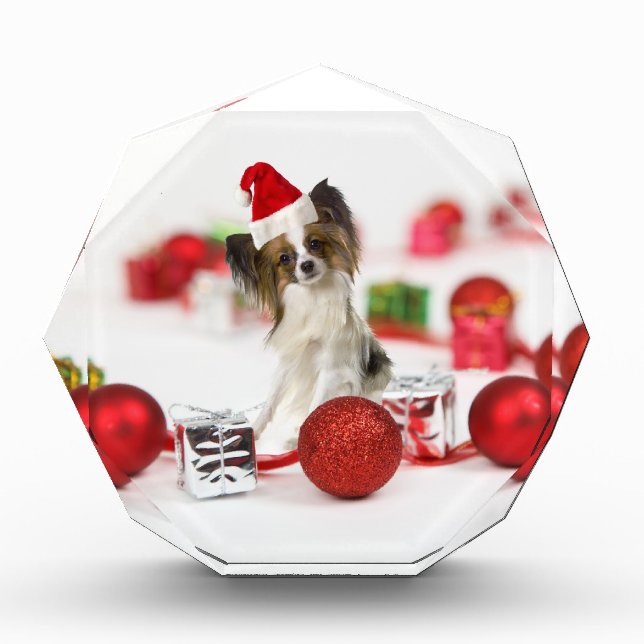 Cute Papillon Dog Christmas Santa Hat Award (Front)