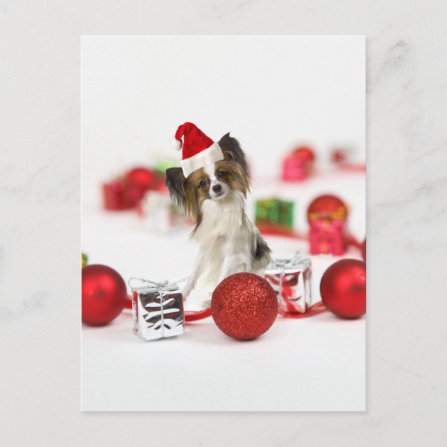 Cute Papillon Dog Christmas Santa Hat Holiday Postcard (Front)