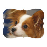 Cute Papillon Dog Invitation