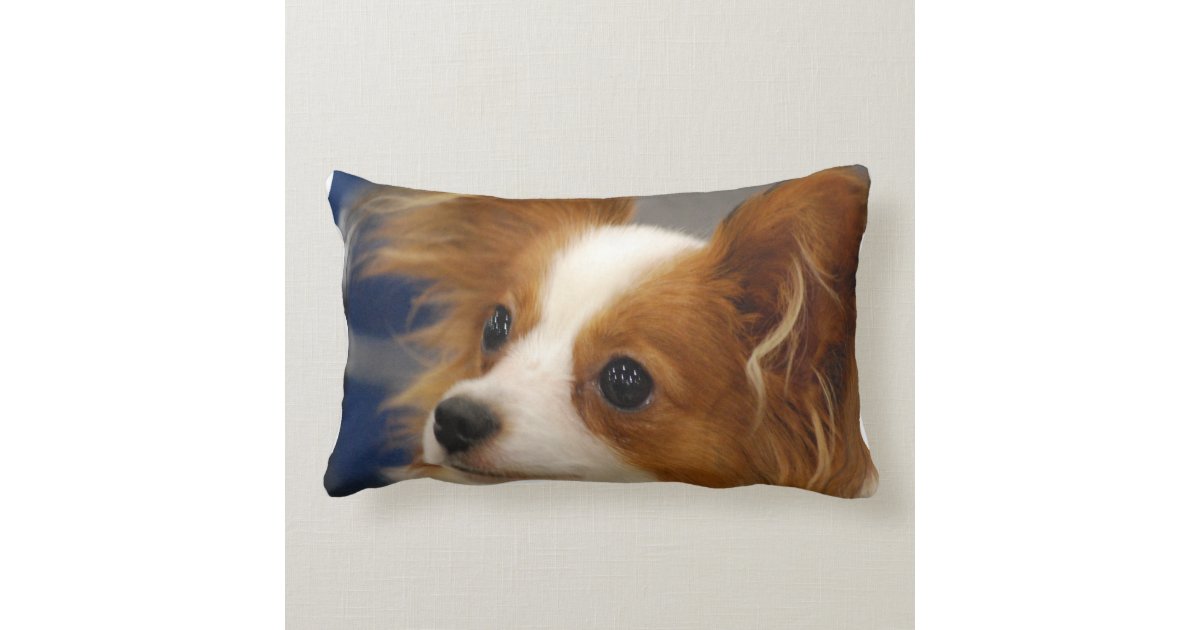 dog lumbar pillow