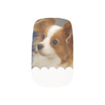 Cute Papillon Dog Minx Nail Wraps