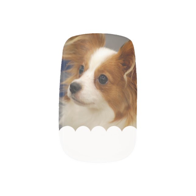 Cute Papillon Dog Minx Nail Wraps (Left Thumb)