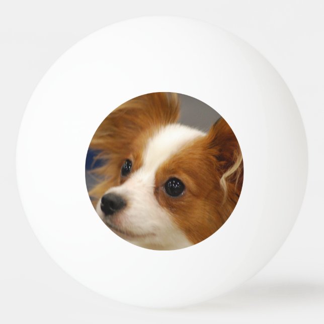 Cute Papillon Dog Ping-Pong Ball (Front)