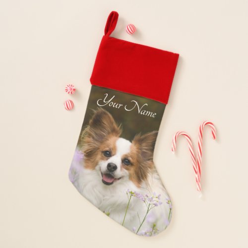 Cute Papillon Spaniel Head Photo Dog Lovers _ Name Christmas Stocking