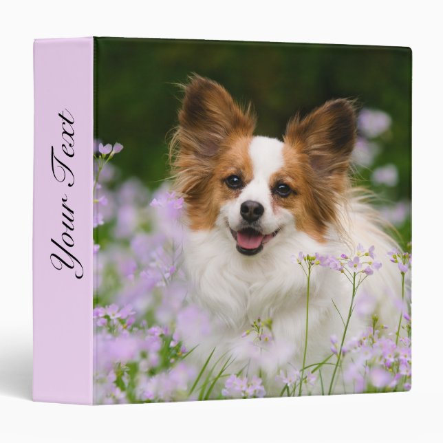 Cute Papillon Spaniel Head Photo for Dog Lovers - 3 Ring Binder (Front/Spine)