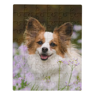 Cute Papillon Spaniel Head Photo for Dog Lovers -' Jigsaw Puzzle