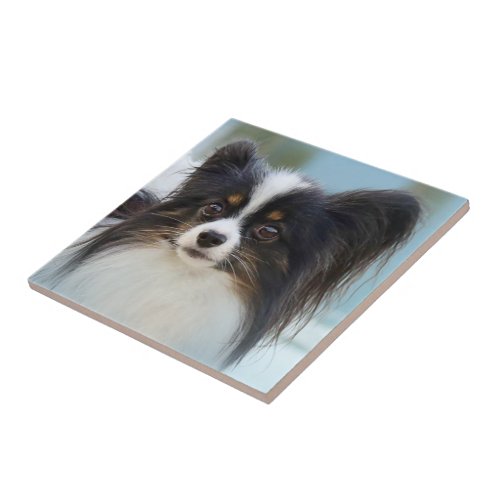Cute Papillon Toy Spaniel Dog at the Dock Ceramic Tile
