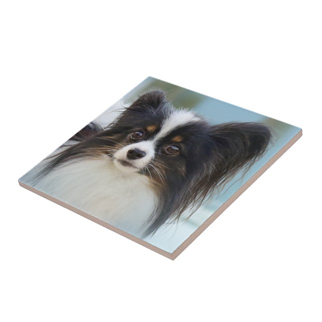 Cute Papillon Toy Spaniel Dog at the Dock Ceramic Tile (Side)