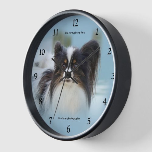 Cute Papillon Toy Spaniel Dog at the Dock Clock