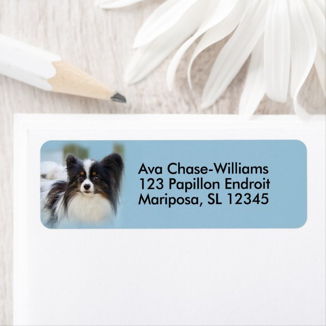Cute Papillon Toy Spaniel Dog at the Dock Label (Insitu)