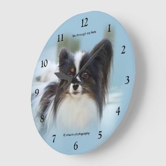 Cute Papillon Toy Spaniel Dog at the Dock