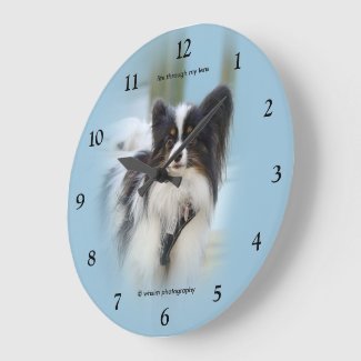 Cute Papillon Toy Spaniel Dog at the Dock