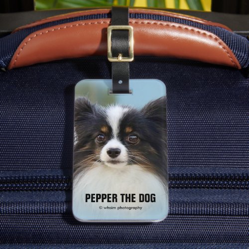 Cute Papillon Toy Spaniel Dog at the Dock Luggage Tag