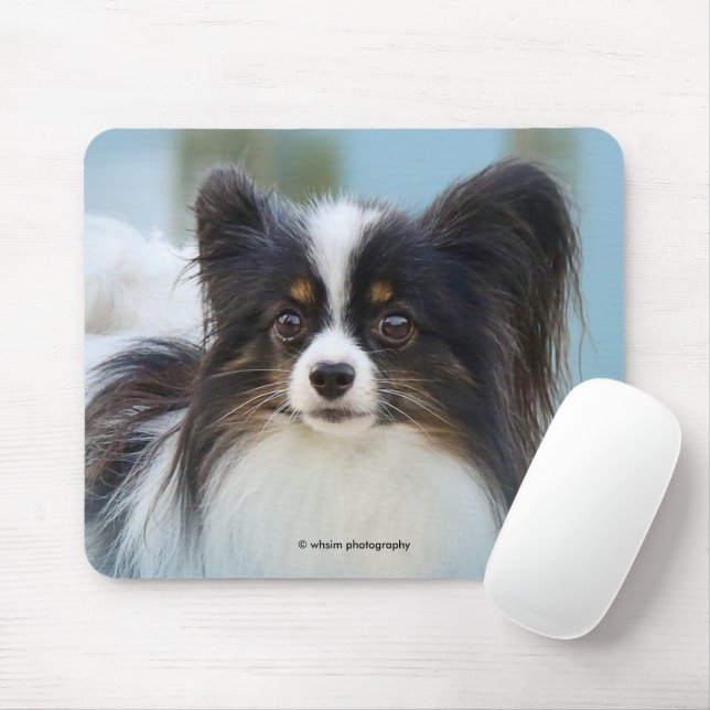 Cute Papillon Toy Spaniel Dog at the Dock Mouse Pad (With Mouse)