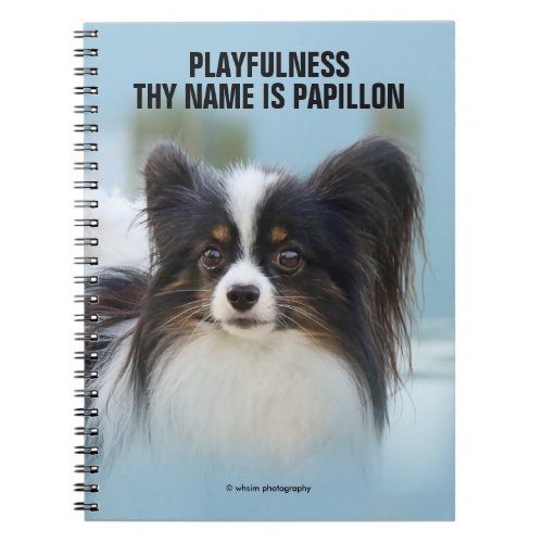Cute Papillon Toy Spaniel Dog at the Dock Notebook