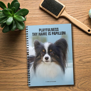 Cute Papillon Toy Spaniel Dog at the Dock Notebook