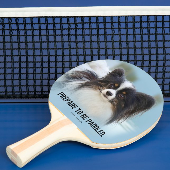 Cute Papillon Toy Spaniel Dog at the Dock Ping Pong Paddle (Insitu)