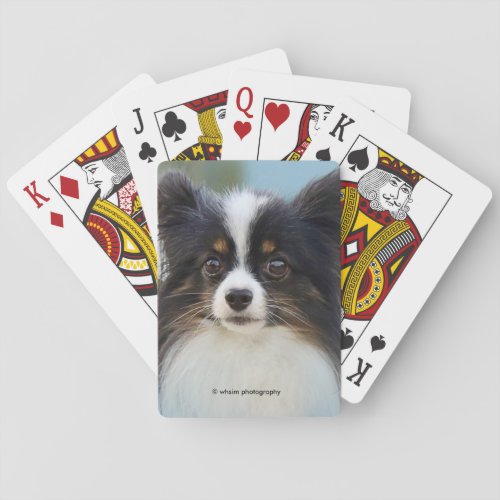 Cute Papillon Toy Spaniel Dog at the Dock Playing Cards