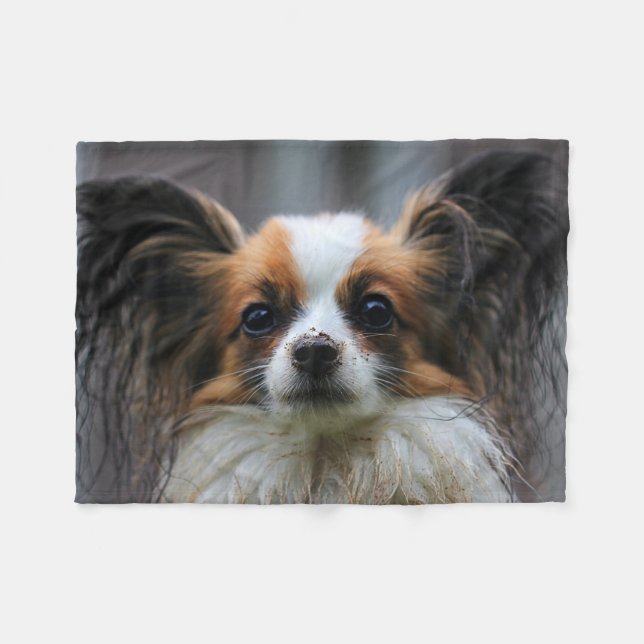 Cute Papillon Toy Spaniel Dog Photography Print Fleece Blanket (Front (Horizontal))