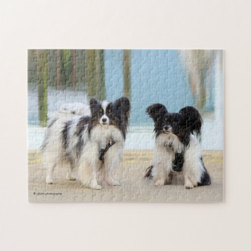 Cute Papillon Toy Spaniels Dogs at the Dock Jigsaw Puzzle