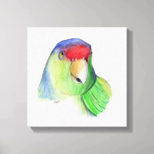 cute parakeet canvas print (Front)