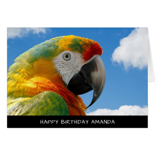Cute Parrot Birthday Card (Front Horizontal)