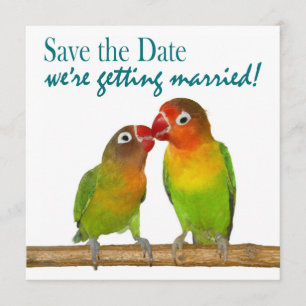 Cute Parrot Love Birds Tropical Save the Date