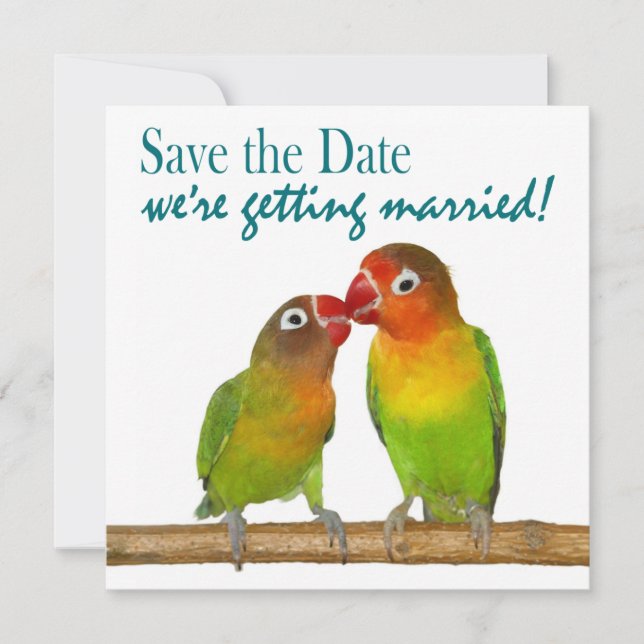 Cute Parrot Love Birds Tropical Save the Date (Front)