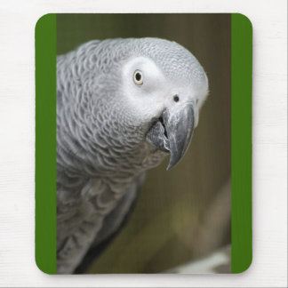 cute parrot mouse pad