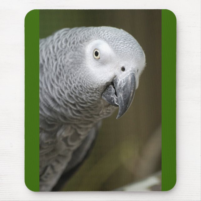 cute parrot mouse pad (Front)