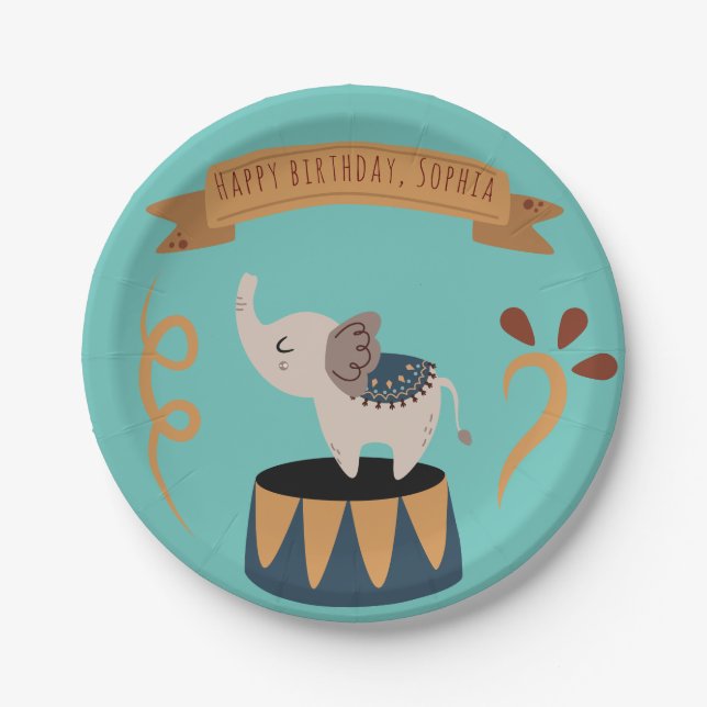 Cute Pastel Carnival Birthday Theme Paper Plates (Front)