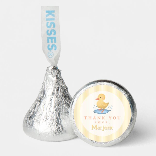 Cute Pastel Farm Duck Splash Birthday Favor (Front)