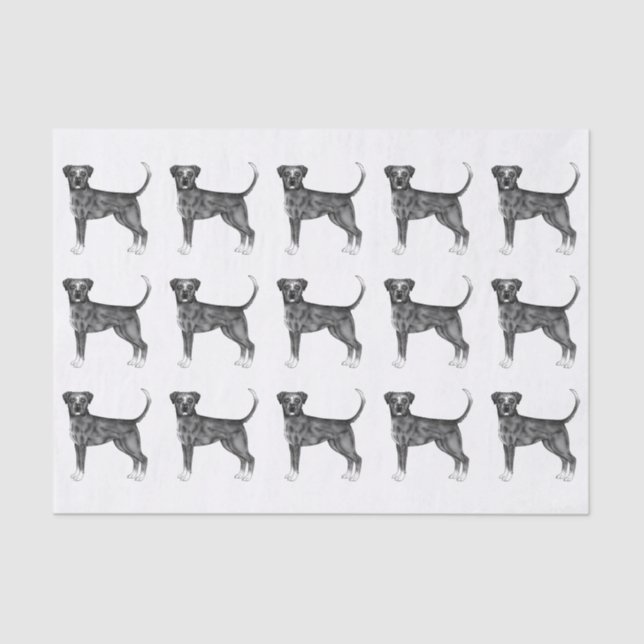 Cute Pattern Of A Boxer Dog In Black And White Tissue Paper (Front)