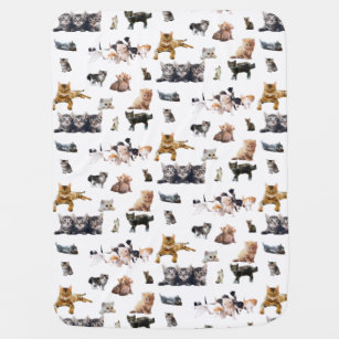 Cute pattern with photographs of Cats and kittens Baby Blanket