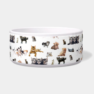 Cute pattern with photographs of Cats and kittens Bowl