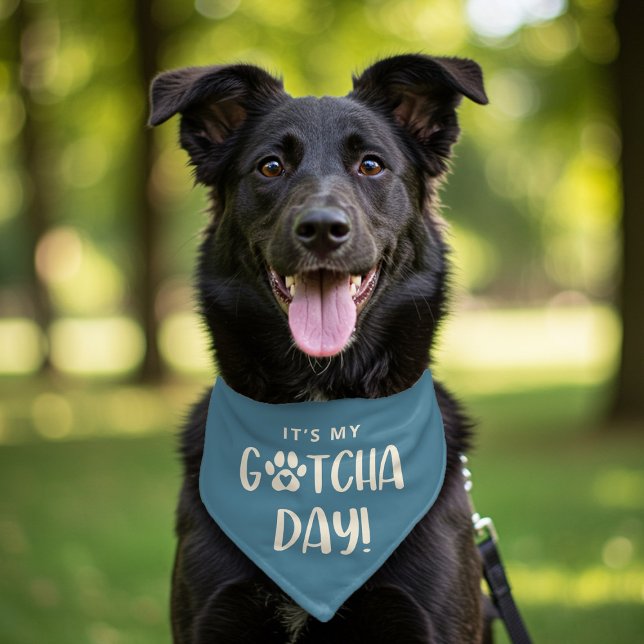 Cute Paw Print Gotcha Day Adoption  Pet Bandana Collar (Creator Uploaded)