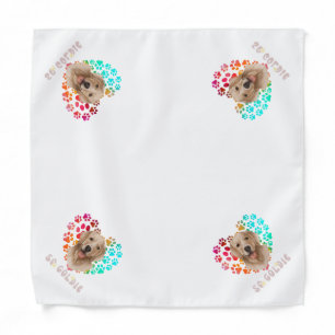 Cute paw Rainbow gradient Heart golden Dog Pet  Bandana