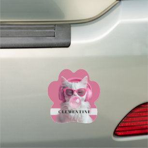 Cute Peaceful Kitty White Cat with first Car Magnet