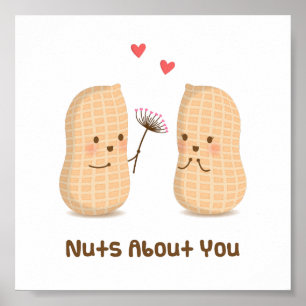 Cute Peanuts Nuts About You Pun Love Humor Poster