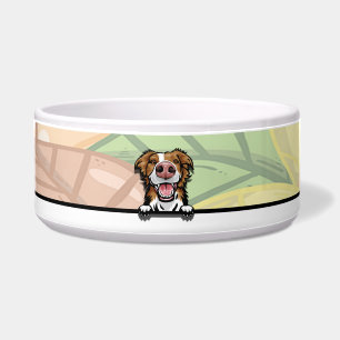 Cute Peeking Border Collie, food or drink Bowl