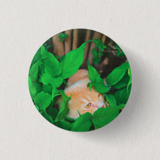 Cute peeking cat phot print button