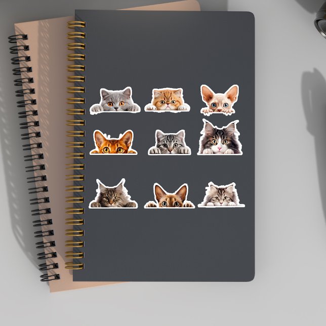 Cute Peeking Cats British Siamese Bengal  Sticker (Creator Uploaded)