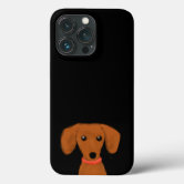 Cute Peeking Dachshund | Wiener Dog Puppy Doxie Case-Mate iPhone Case | Zazzle Cute Peeking Dachshund | Wiener Dog Puppy Doxie Case-Mate iPhone Case | Zazzle