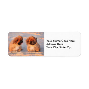 Cute Pekingese Dogs Label