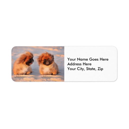 Cute Pekingese Dogs Label