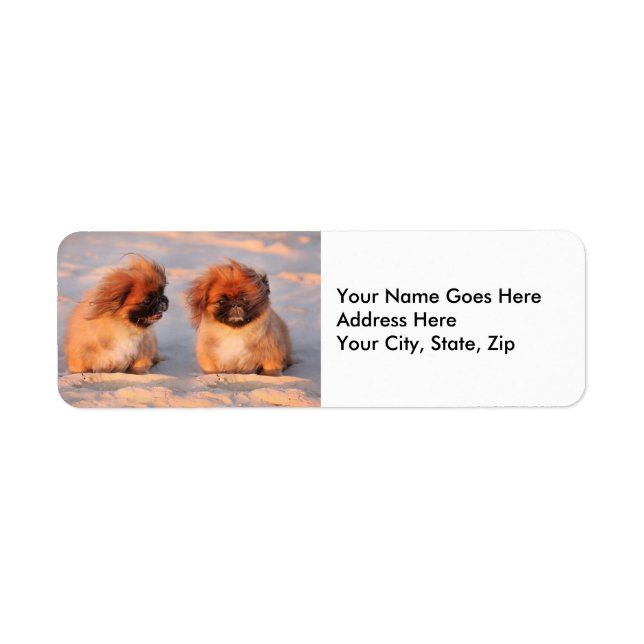 Cute Pekingese Dogs Label (Front)