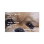 Cute Pekingese Puppy Business Cards